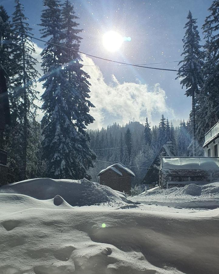 Jahorina Villa In Eksteriør bilde
